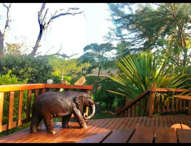 20,256M² SMALLHOLDING FOR SALE IN DALMADA AH